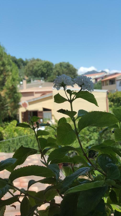 Il Girasole Bed & Breakfast Domus De Maria Exterior photo